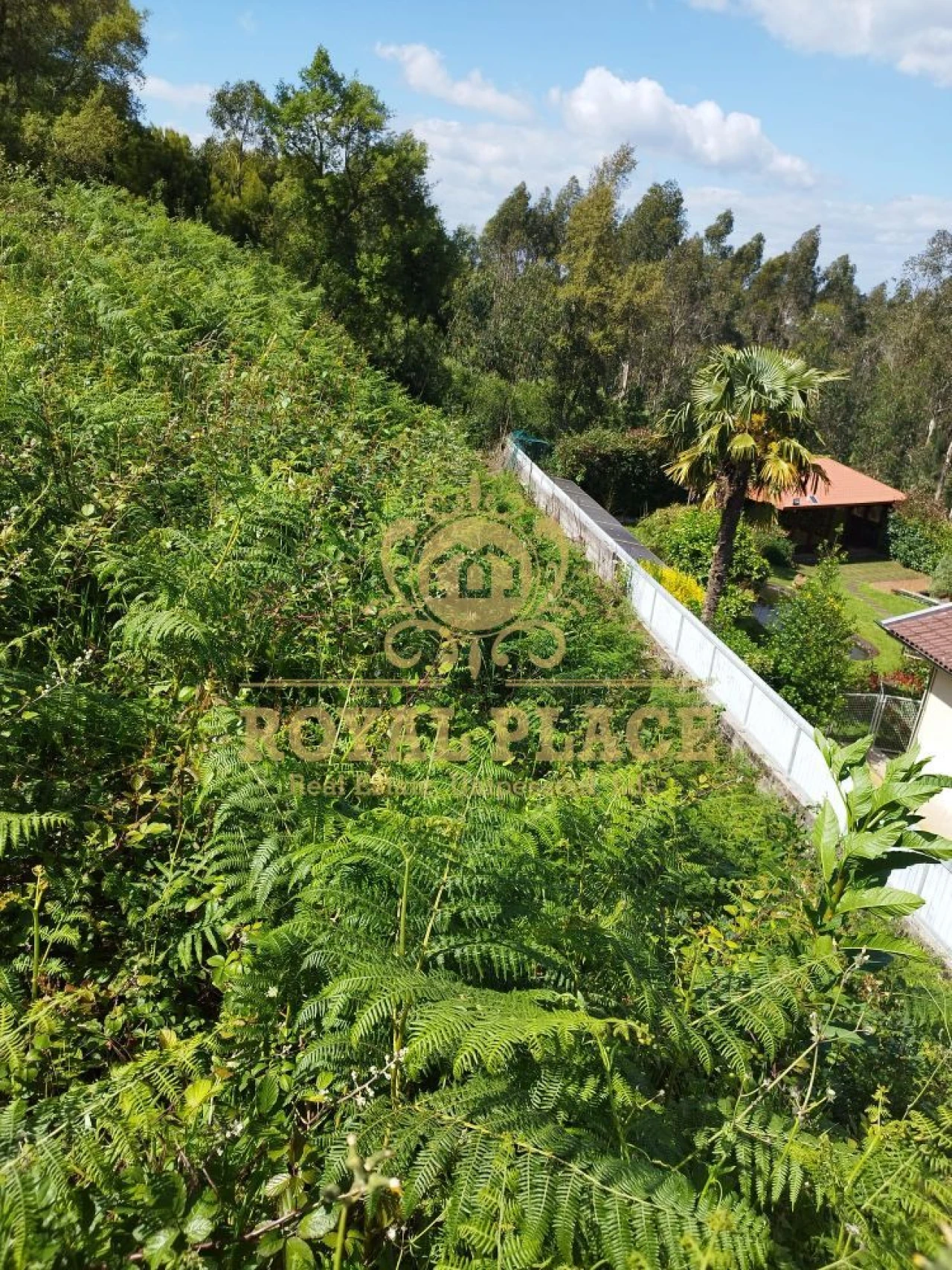 Terreno para Venda em Caldas de São Jorge e Pigeiros Foto 9