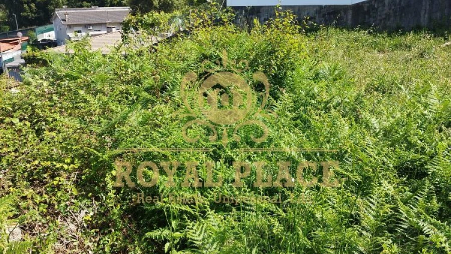 Terreno para Venda em Caldas de São Jorge e Pigeiros
