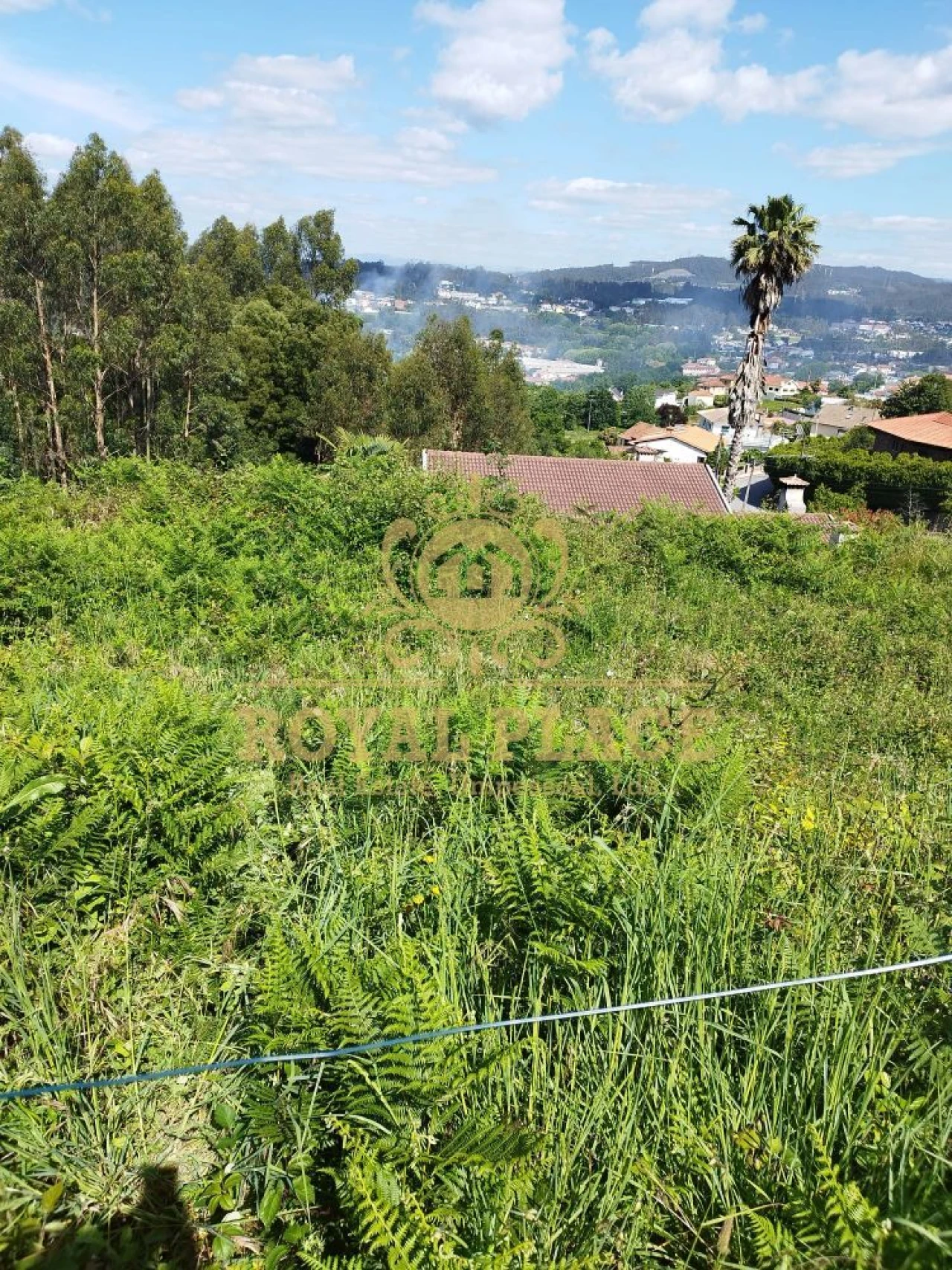 Terreno para Venda em Caldas de São Jorge e Pigeiros Foto 3