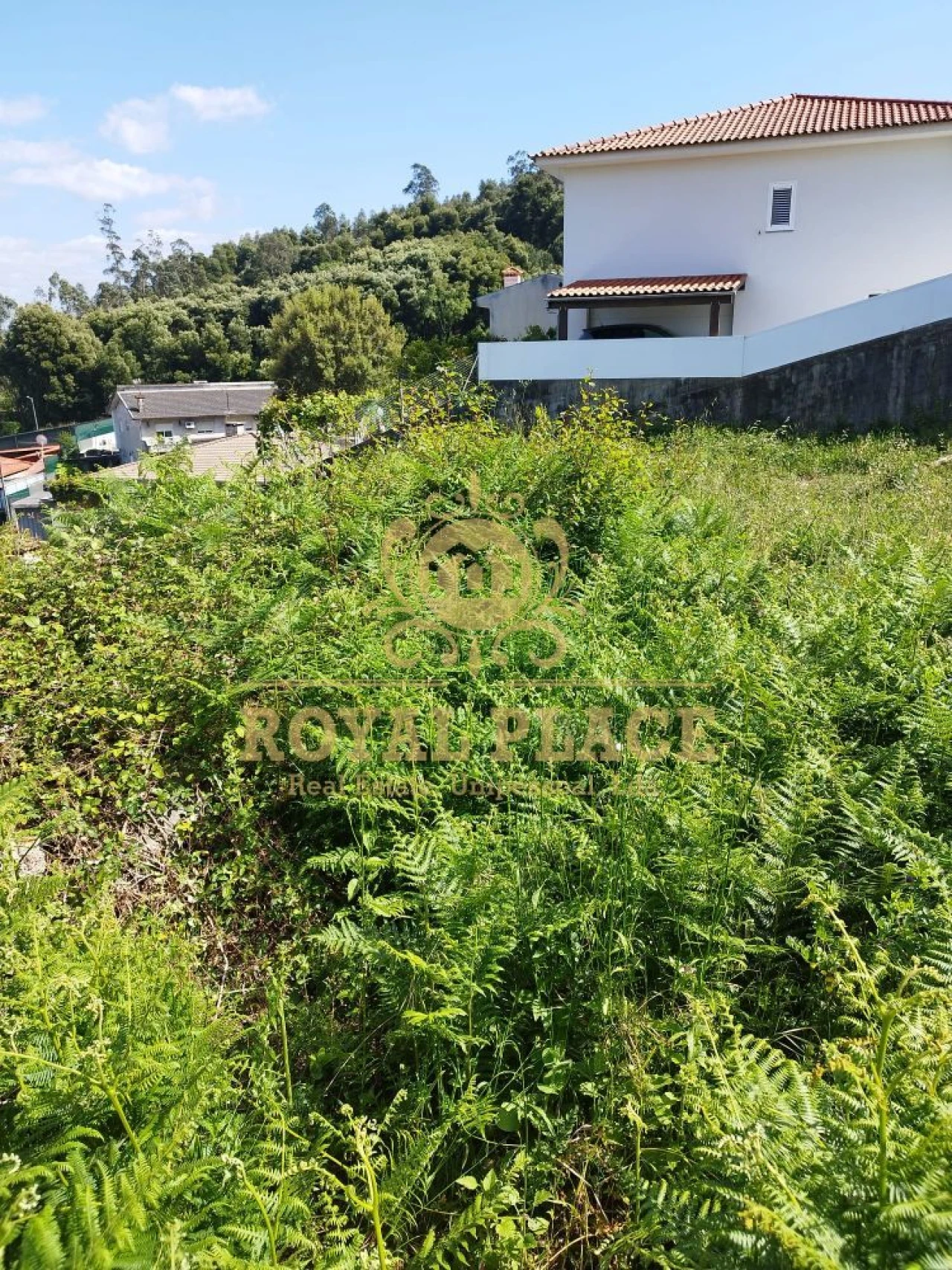 Terreno para Venda em Caldas de São Jorge e Pigeiros Foto 1