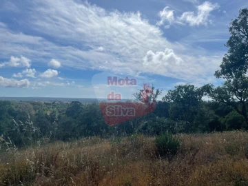 Quinta T2 para Venda em São Francisco da Serra