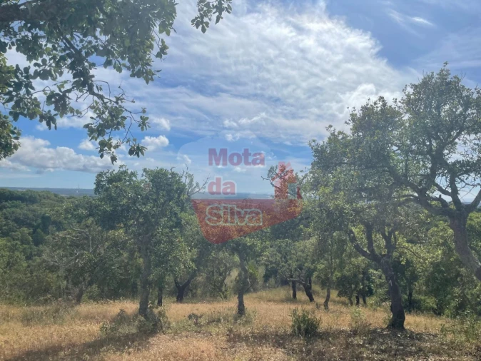 Quinta T2 para Venda em São Francisco da Serra Foto 13