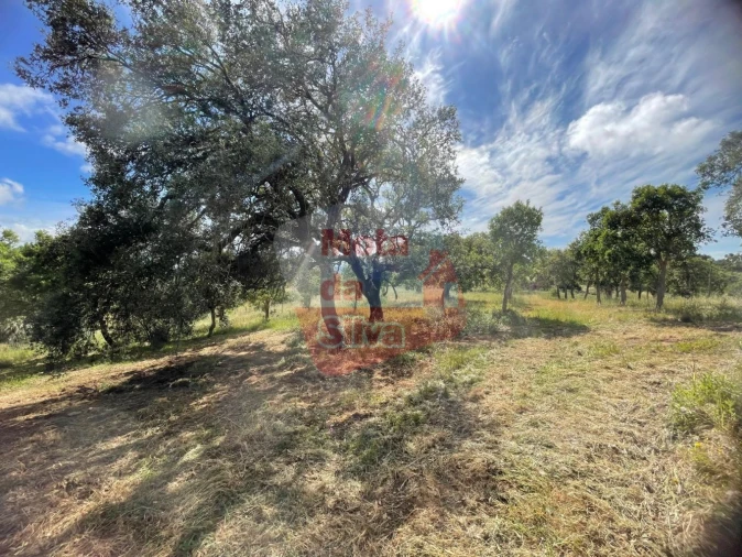 Quinta T2 para Venda em São Francisco da Serra Foto 16