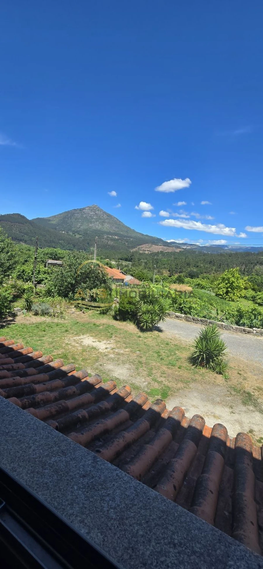 Moradia T5 para Venda em Mondim de Basto Foto 56