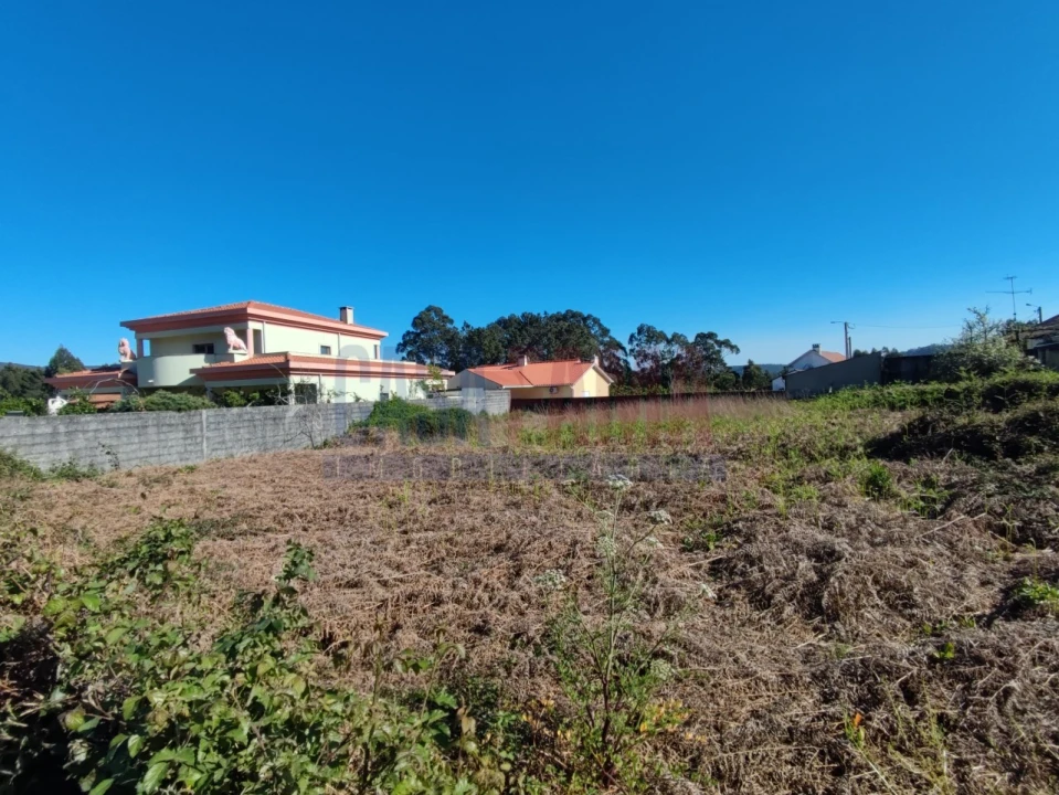 Terreno para Venda em Forjães Foto 5