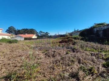 Terreno para Venda em Forjães