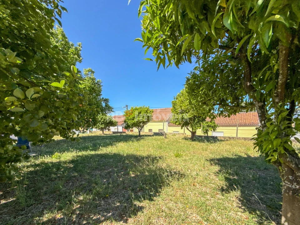 Moradia T2 para Venda em Olaia e Paço Foto 4