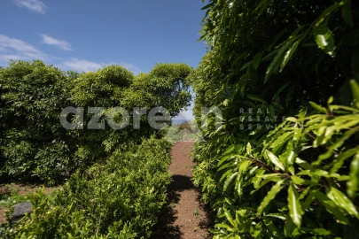 Moradia T7 para Venda em Fenais da Luz
