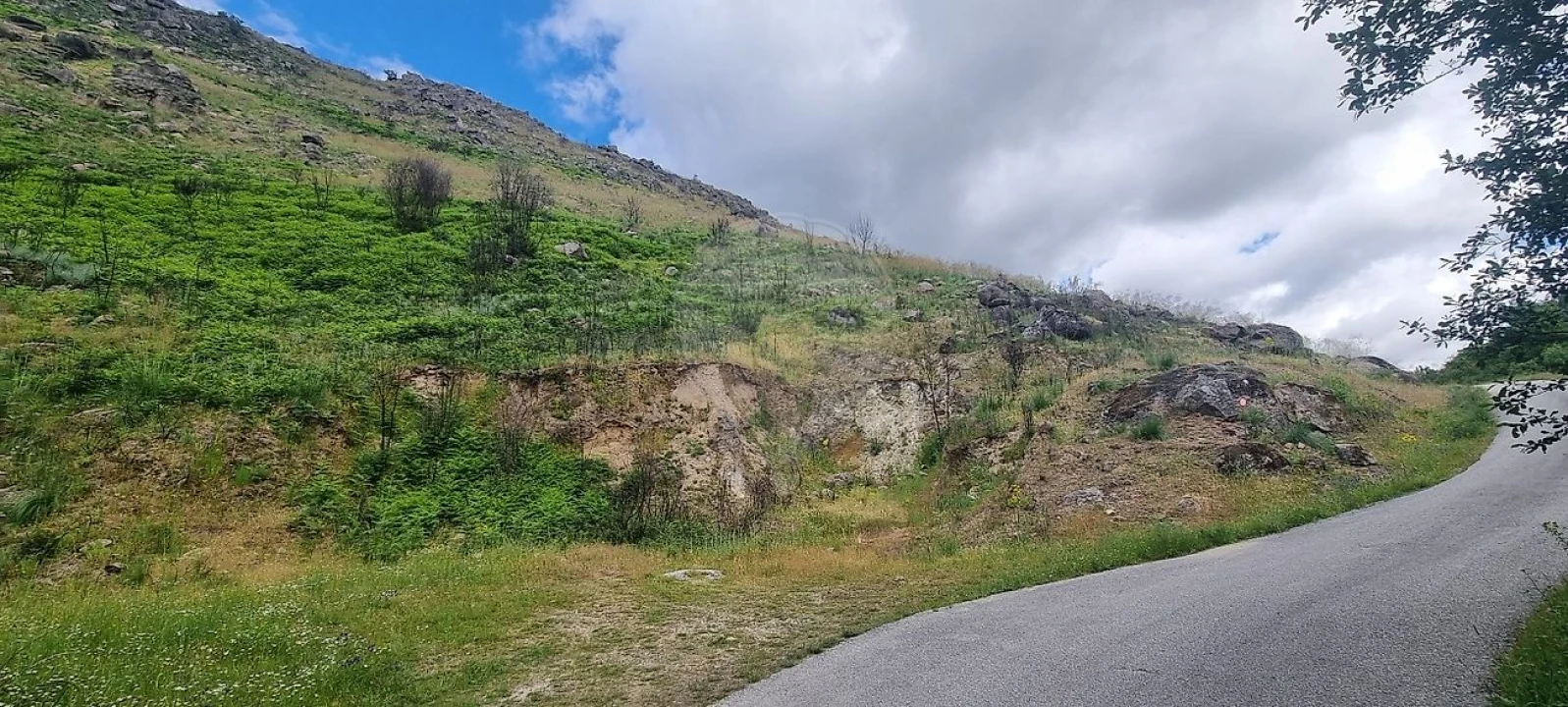 Terreno para Venda em Aldeia Nova Foto 14
