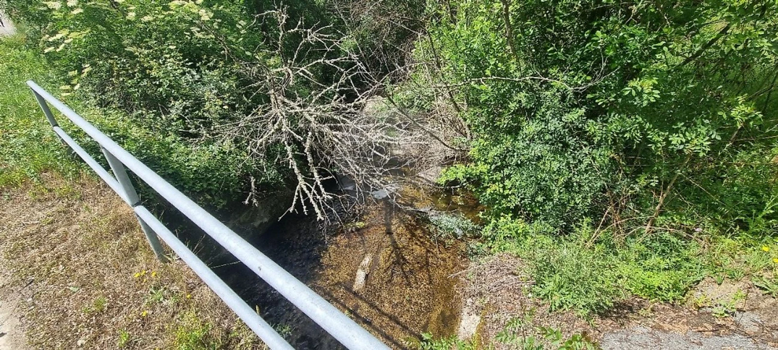 Terreno para Venda em Aldeia Nova Foto 8