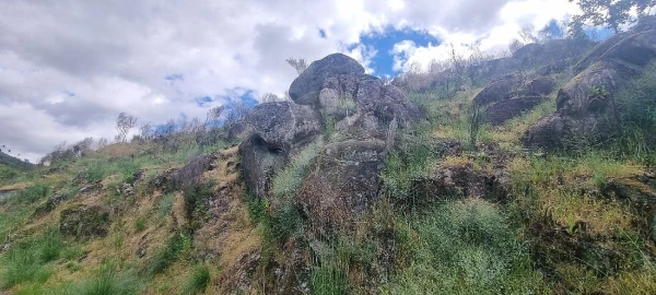 Terreno para Venda em Aldeia Nova