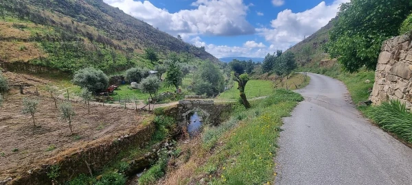 Terreno para Venda em Aldeia Nova