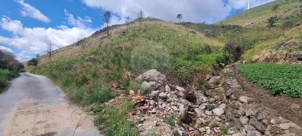 Terreno para Venda em Aldeia Nova