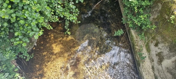 Terreno para Venda em Aldeia Nova