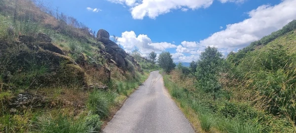 Terreno para Venda em Aldeia Nova