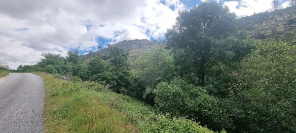 Terreno para Venda em Aldeia Nova