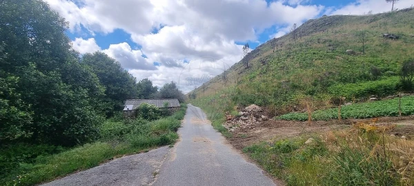 Terreno para Venda em Aldeia Nova