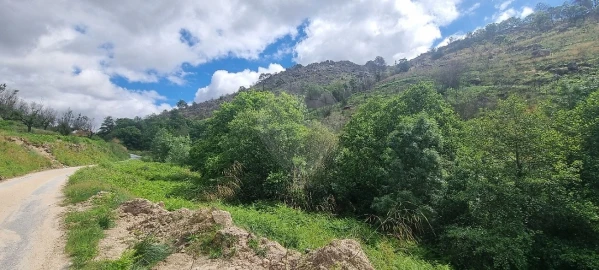 Terreno para Venda em Aldeia Nova