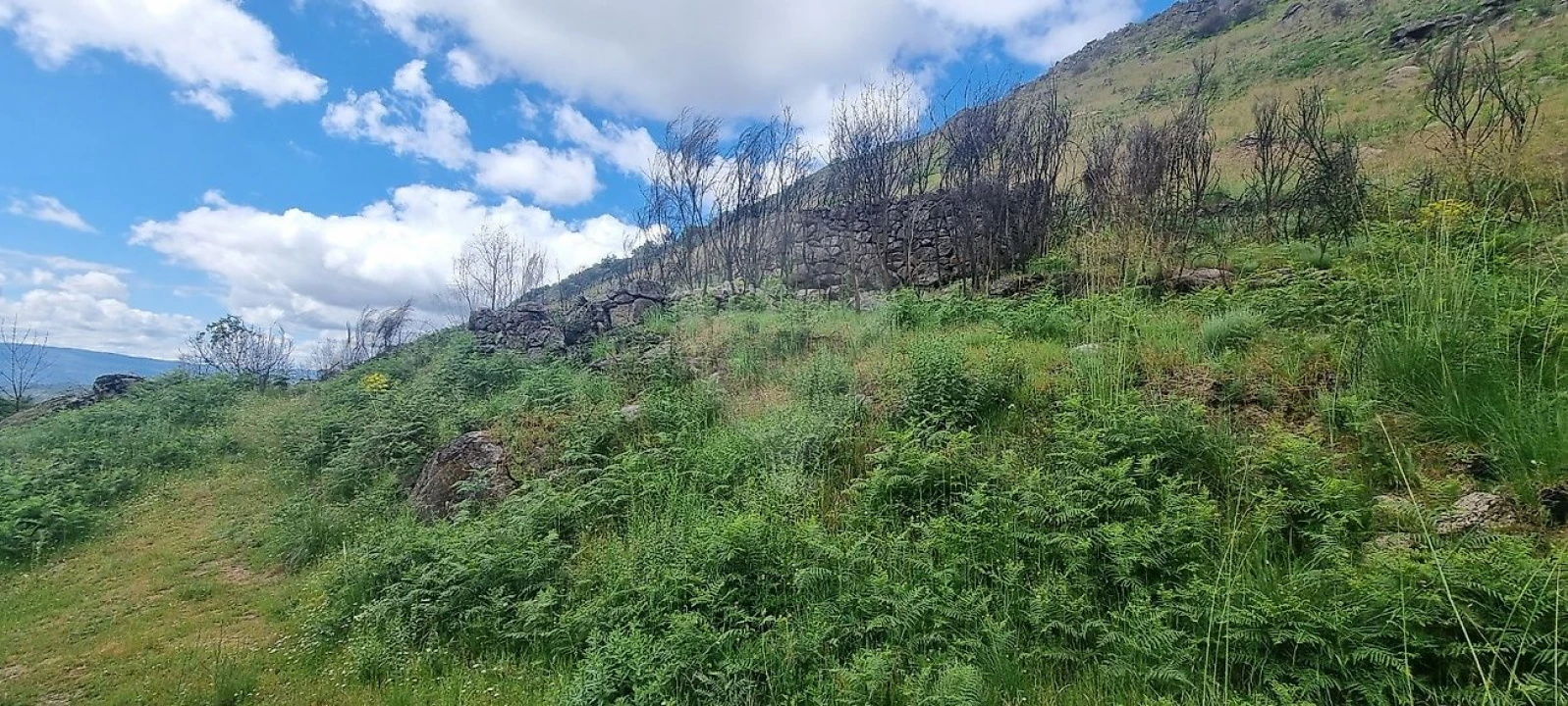 Terreno para Venda em Aldeia Nova Foto 18