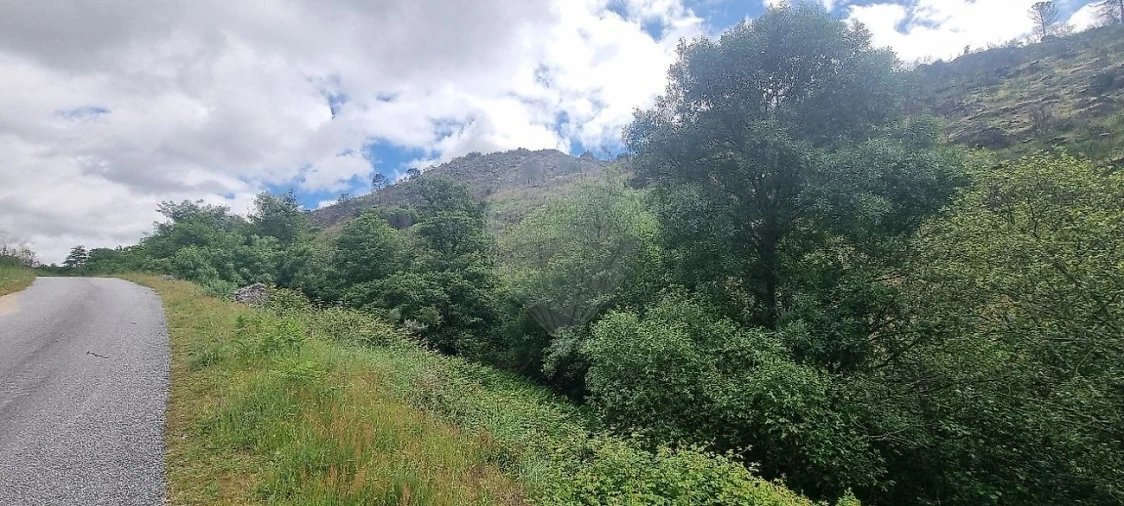 Terreno para Venda em Aldeia Nova Foto 17
