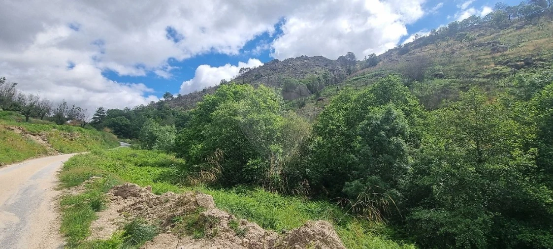 Terreno para Venda em Aldeia Nova Foto 5