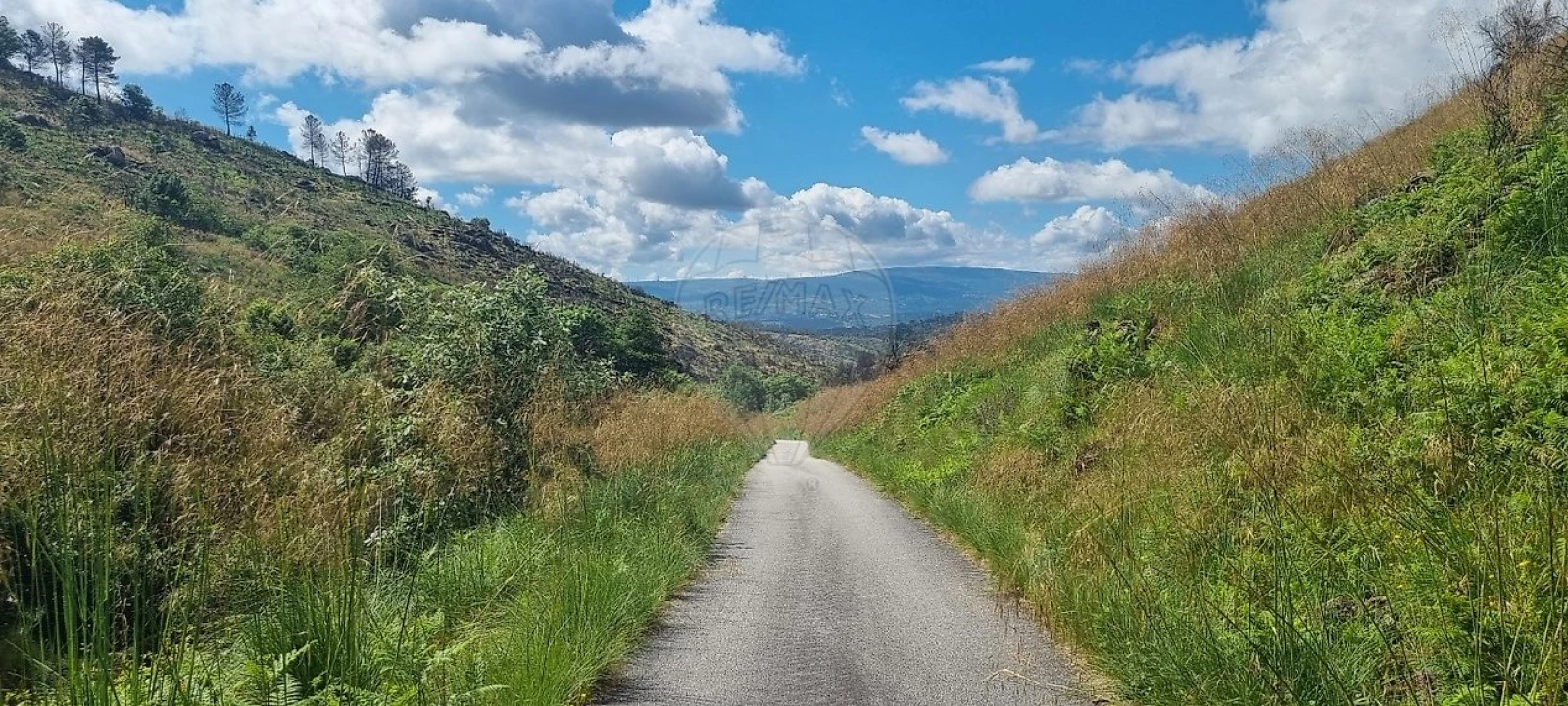 Terreno para Venda em Aldeia Nova Foto 6