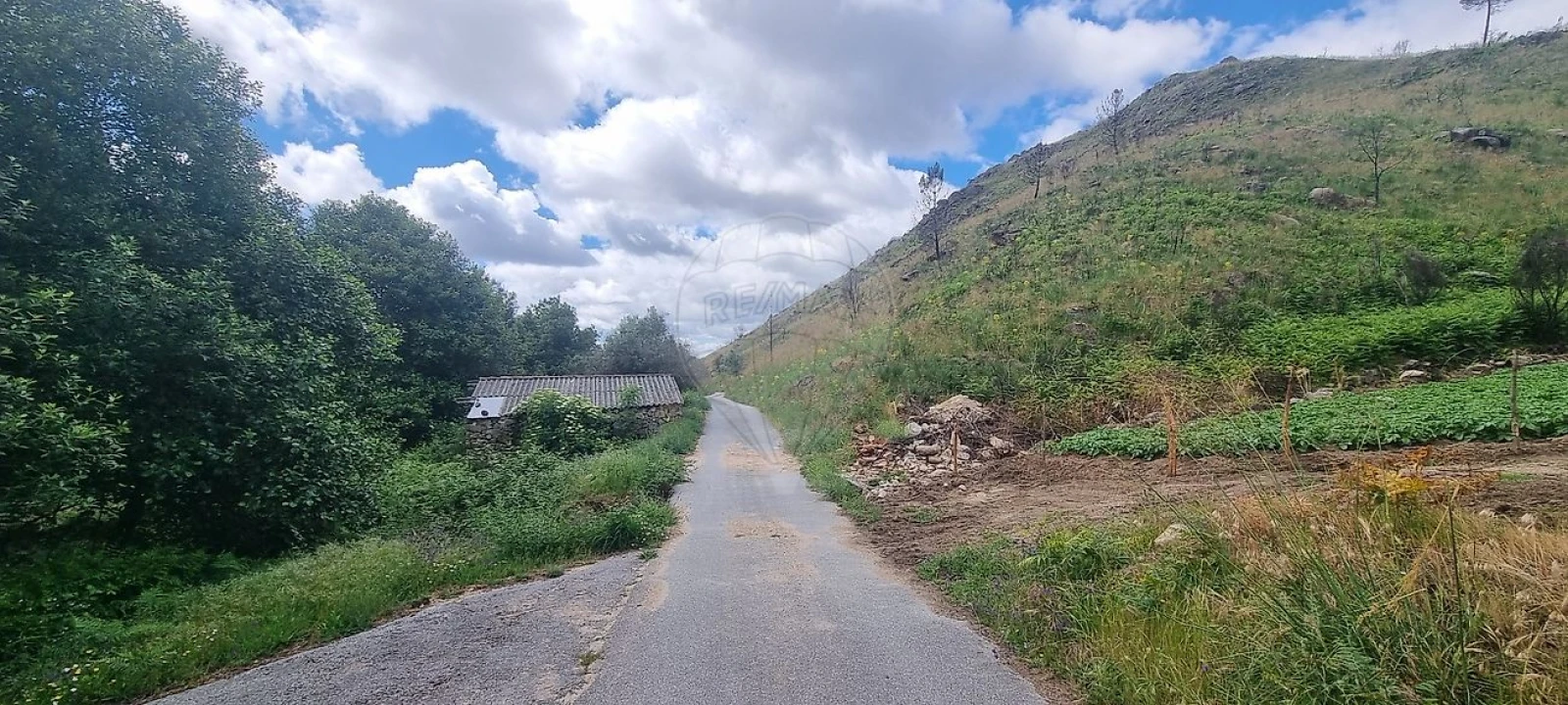 Terreno para Venda em Aldeia Nova Foto 19