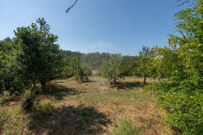 Moradia T6 para Venda em Mortágua, Vale de Remígio, Cortegaça e Almaça