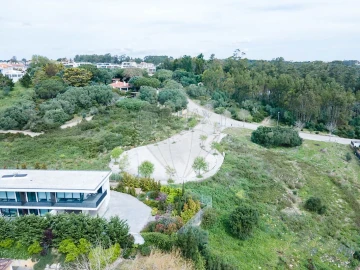 Terreno para Venda em Santa Maria e São Miguel, São Martinho, São Pedro Penaferrim