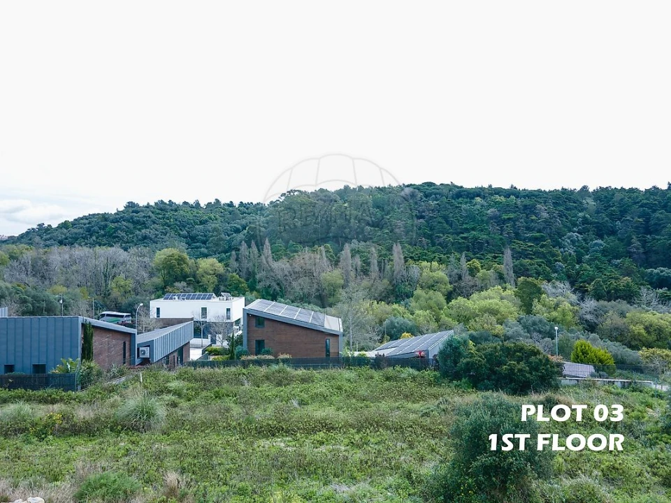Terreno para Venda em Santa Maria e São Miguel, São Martinho, São Pedro Penaferrim Foto 2