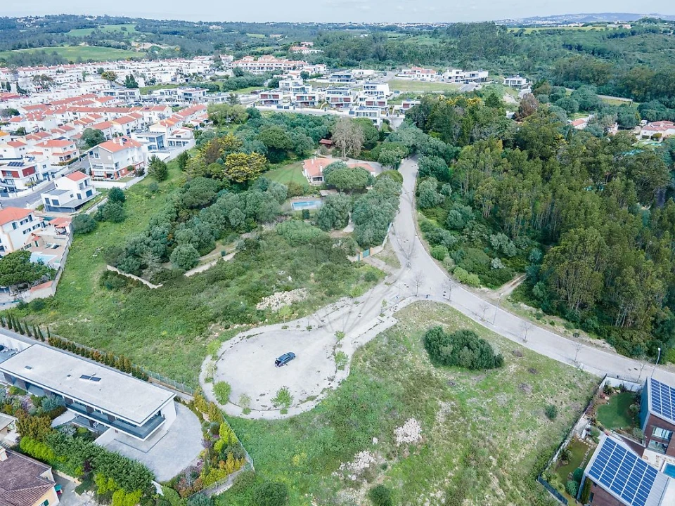 Terreno para Venda em Santa Maria e São Miguel, São Martinho, São Pedro Penaferrim Foto 1