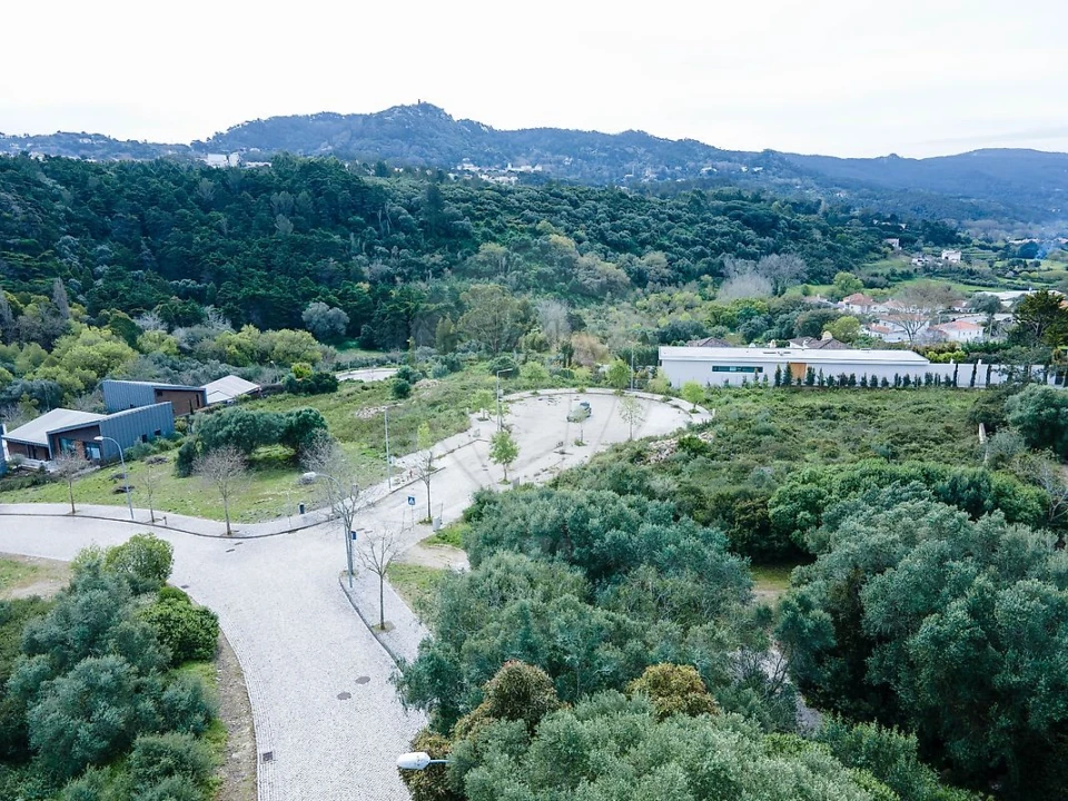 Terreno para Venda em Santa Maria e São Miguel, São Martinho, São Pedro Penaferrim Foto 4