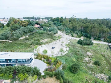 Terreno para Venda em Santa Maria e São Miguel, São Martinho, São Pedro Penaferrim