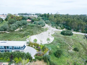 Terreno para Venda em Santa Maria e São Miguel, São Martinho, São Pedro Penaferrim