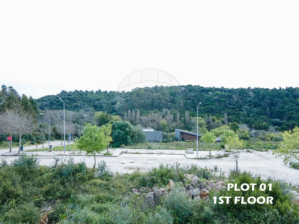 Terreno para Venda em Santa Maria e São Miguel, São Martinho, São Pedro Penaferrim Foto 8