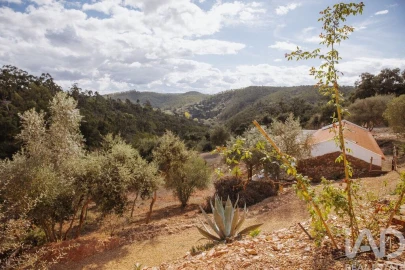 Quinta T14 para Venda em São Salvador e Santa Maria