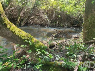 Quinta T14 para Venda em São Salvador e Santa Maria