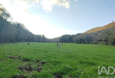 Quinta T14 para Venda em São Salvador e Santa Maria