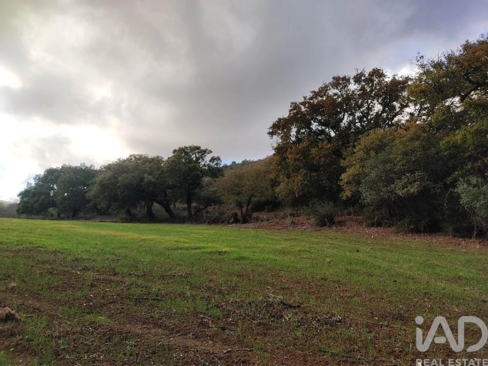 Quinta T14 para Venda em São Salvador e Santa Maria Foto 32