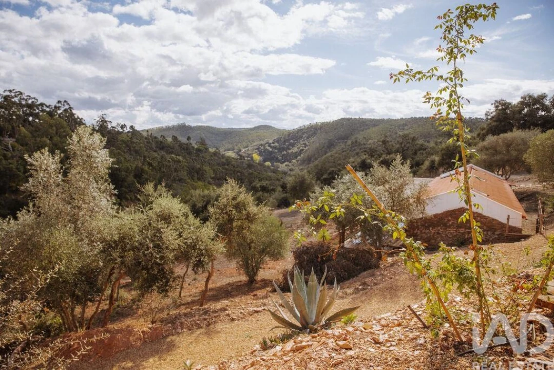 Quinta T14 para Venda em São Salvador e Santa Maria Foto 1