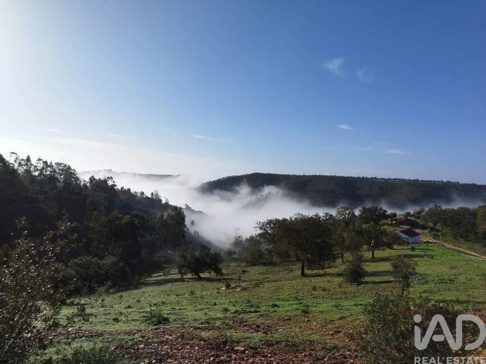 Quinta T14 para Venda em São Salvador e Santa Maria Foto 29