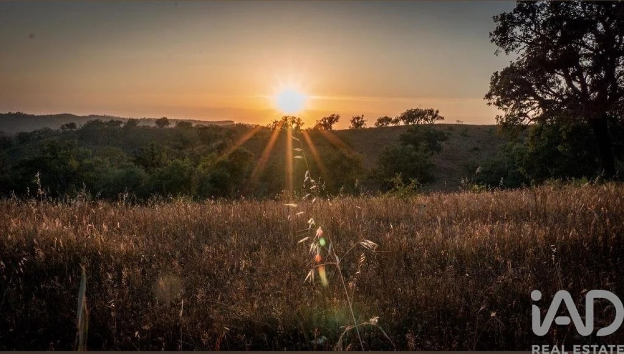 Quinta T14 para Venda em São Salvador e Santa Maria Foto 26