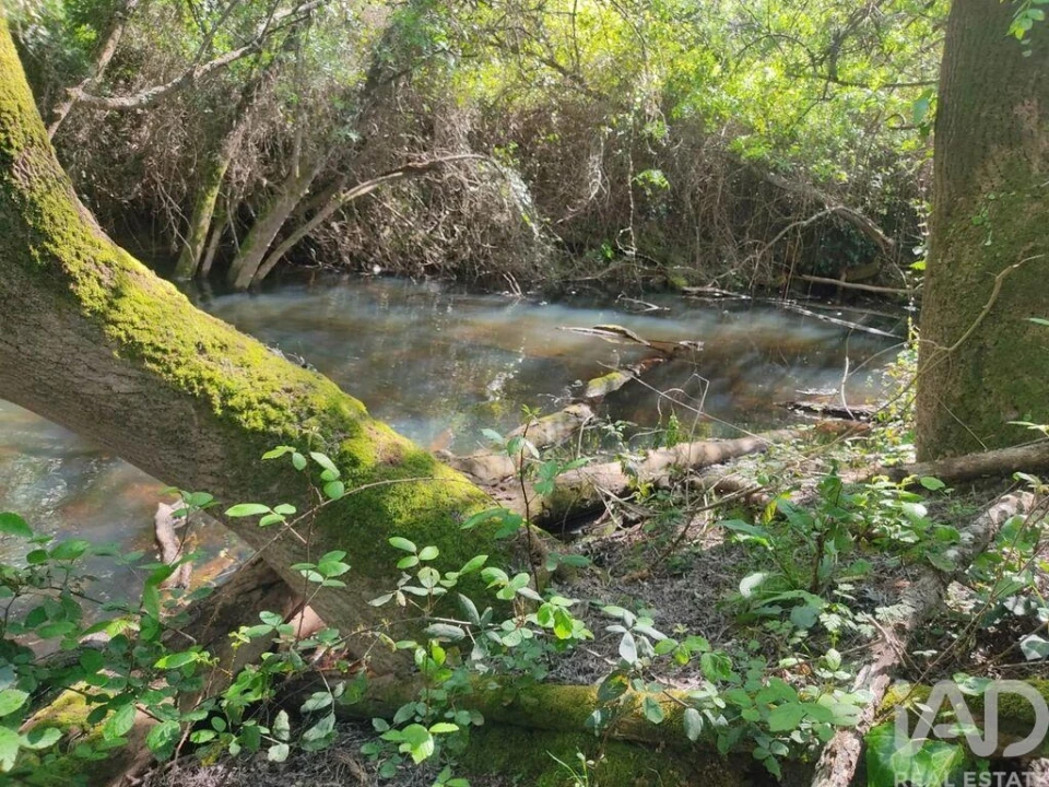 Quinta T14 para Venda em São Salvador e Santa Maria Foto 30