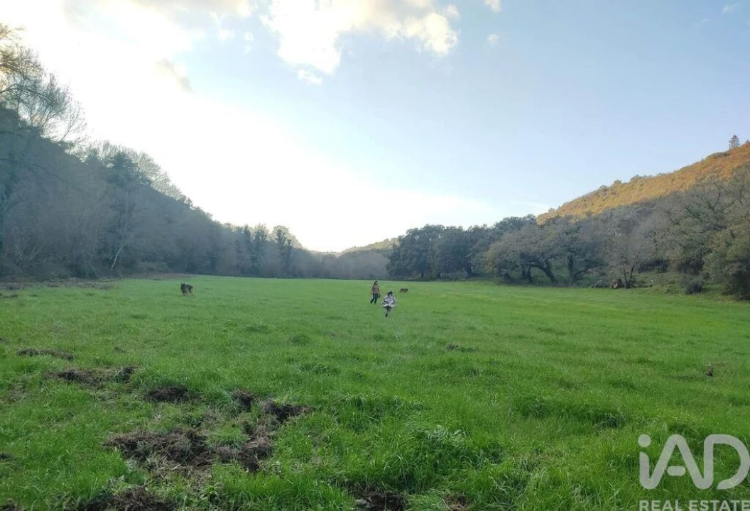 Quinta T14 para Venda em São Salvador e Santa Maria Foto 28