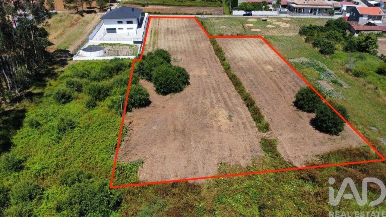 Terreno para Venda em Oiã Foto 2