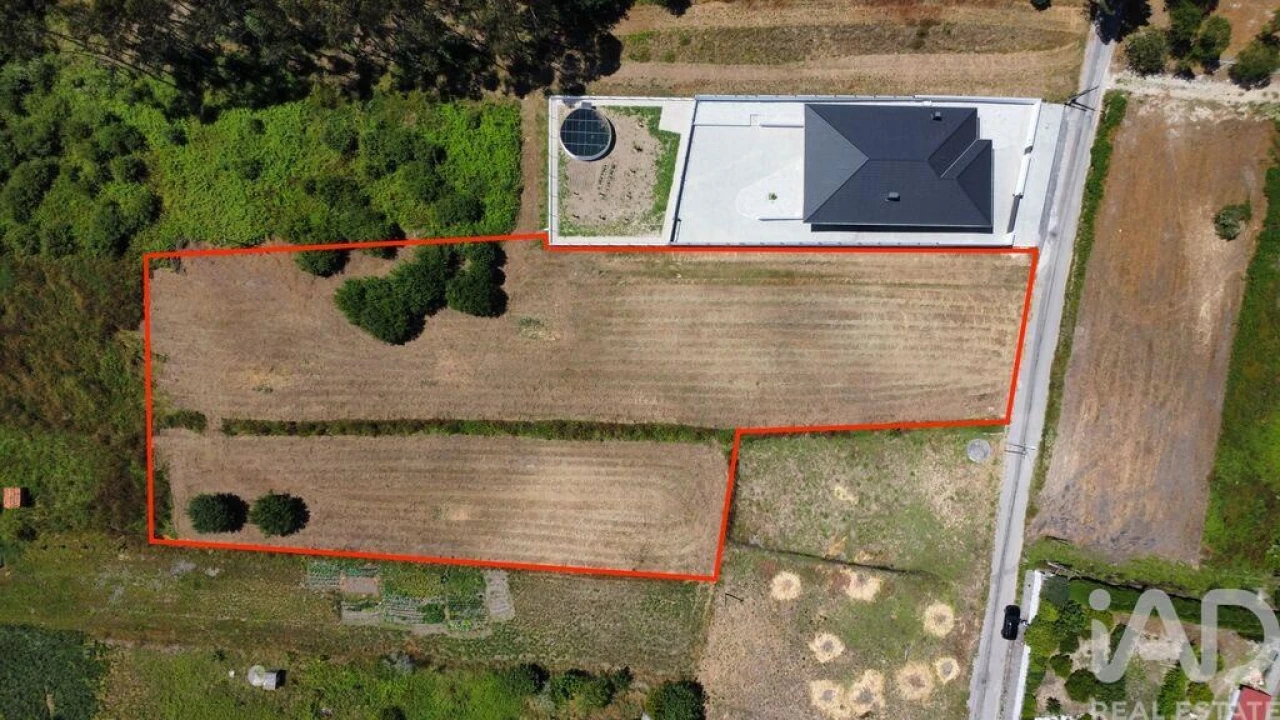 Terreno para Venda em Oiã Foto 4