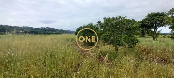 Terreno para Venda em Carregueira