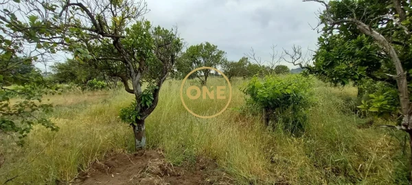 Terreno para Venda em Carregueira