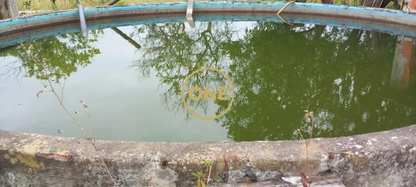 Terreno para Venda em Carregueira