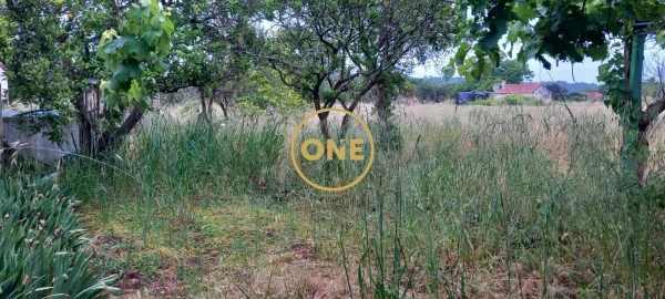 Terreno para Venda em Carregueira